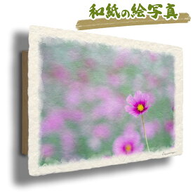 絵 風水 絵画 玄関 おすすめ 運気が上がる絵 インテリア アートパネル 風景画 おしゃれ 開運 金運 トイレ 玄関 に 飾る 絵 画 壁掛け 花 秋 ピンク 花の絵 和紙の絵写真 「薄緑の中のピンクのコスモス」