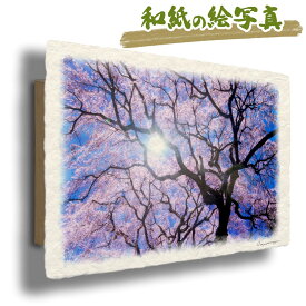 絵 風水 絵画 玄関 おすすめ 運気が上がる絵 インテリア アートパネル 風景画 おしゃれ 開運 金運 トイレ 玄関 に 飾る 絵 画 壁掛け 花の絵 春 ピンク 木 森 和紙の絵写真 「太陽と一面の桜と見上げる黒い幹」