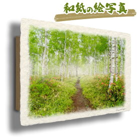絵 風水 絵画 玄関 おすすめ 運気が上がる絵 インテリア アートパネル 風景画 おしゃれ 開運 金運 トイレ 玄関 に 飾る 絵 画 壁掛け 夏 木 森 花の絵 道 緑 和紙の絵写真 「新緑の白樺林とレンゲツツジの小径」