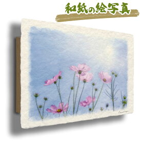 絵 風水 絵画 玄関 おすすめ 運気が上がる絵 インテリア アートパネル 風景画 おしゃれ 開運 金運 トイレ 玄関 に 飾る 絵 画 壁掛け 花 秋 ピンク 花の絵 和紙の絵写真 「太陽と透き通るピンクのコスモス」
