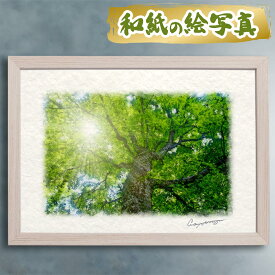 玄関に飾ると運気が上がる絵画 和紙の絵写真 「木漏れ日と新緑のブナの大木」 風水 絵画 玄関 おすすめ 玄関 絵 開運 金運 インテリア 絵 アートパネル 風景画 おしゃれ 壁掛け トイレに飾る絵 夏 緑 木 森