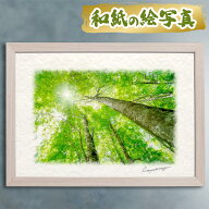 玄関に飾ると運気が上がる絵画 和紙の絵写真 「太陽に伸びる新緑のブナの木」 風水 絵画 玄関 おすすめ …
