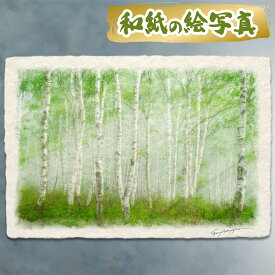 絵 風水 絵画 玄関 おすすめ 運気が上がる絵 インテリア アートパネル 風景画 おしゃれ 開運 金運 トイレ 玄関 に 飾る 絵 画 壁掛け 木 森 夏 緑 和紙の絵写真 「霧の新緑の白樺林と木漏れ日」