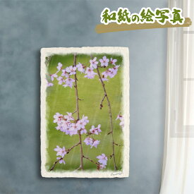 絵 風水 絵画 玄関 おすすめ 運気が上がる絵 インテリア アートパネル 風景画 おしゃれ 開運 金運 トイレ 玄関 に 飾る 絵 画 壁掛け 春 花の絵 花 ピンク 和紙の絵写真 「雨の中のしだれ桜の花」