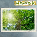 絵 風水 絵画 玄関 おすすめ 運気が上がる絵 インテリア アートパネル 風景画 おしゃれ 開運 金運 トイレ 玄関 に 飾…