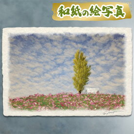 アートパネル 風水 絵画 玄関 おすすめ 開運 金運 インテリア グッズ 運気が上がる絵 水晶 玄関 に 飾る 絵 画 開運絵画 トイレ 風水画 風景画 和紙の絵写真 セピアカラー 「黄葉のポプラとコスモスの丘の白いベンチ」 秋 木 森 花の絵 丘 ピンク