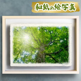 絵 風水 絵画 玄関 おすすめ 運気が上がる絵 インテリア アートパネル 風景画 おしゃれ 開運 金運 トイレ 玄関 に 飾る 絵 画 壁掛け 夏 緑 木 森 和紙の絵写真 「木漏れ日と新緑のブナの大木」