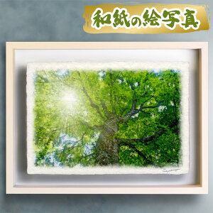  G   J^ ^ CeA ObY ^CオG     G  A[gpl J^G gC  i åGʐ^ uؘRƐV΂̃uȋ؁v 