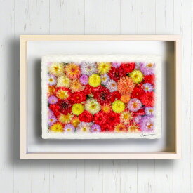 和紙の絵写真 「一面のダリアの花(赤黒)」 絵画 インテリア 油絵 風景画 風水 玄関 おすすめ 開運 運気が上がる絵 金運 開運絵画 玄関 に飾る 絵 トイレ 新築祝い 花 秋 花の絵