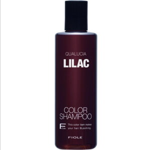 y Ki J[Vv[ NIVA tB[ Iׂ 250ml zVv[ Vv[ NIVAJ[Vv[ CbN x[W TN p[v