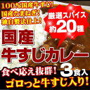 【全国送料無料】　100％国産牛すじ＆たまねぎ使用　牛すじカレー210g　中辛　3パック入り　レトルトでは味わえない本格派カレー　お湯ポチャ10分で完成！ ランキングお取り寄せ