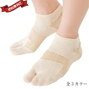 y}\I|Cg2{I100~N[|IzO C T|[^[ O΍C n^Cv