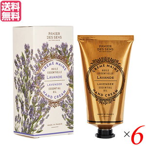 yC[OXӍՁI|Cgő5{IzpjGfTX GbZVY nhN[ 75mL x_[ 6{Zbg  VAo^[ ێ 