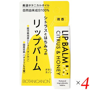 y11/10()IyVJ[hpŃ|Cg9{Iz{^jJm bvo[ VgXnj[ 4.5g 4Zbg bvN[ bvXeBbN