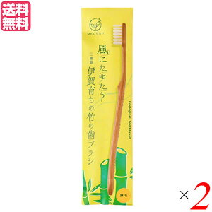 y9/16()IGg[Ń|Cg2{IzuV nuV  FINE MEGURU |̎uV ؖсi߁j2{Zbg 