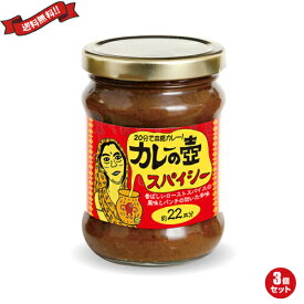 【4/20(土)限定！楽天カードでポイント4倍！】カレー ルー レトルト 第3世界ショップ カレーの壺 スパイシー 220g 3個セット