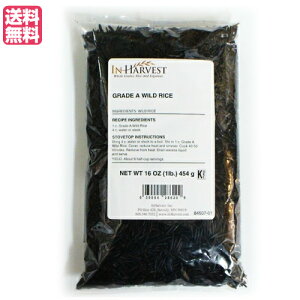 yX[p[SALEI|Cg2{I300~N[|IzG }R^P }R_P Cn[xXg ChCX 454g