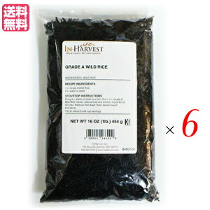 yX[p[SALEI|Cg2{I300~N[|IzG }R^P }R_P Cn[xXg ChCX 454g 6܃Zbg