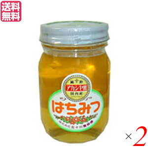 【10/25(土)限定!楽天カードでポイント8倍!】はちみつ 蜂蜜 国産 五十川養蜂園 国産はちみつ アカシア 500g 2個セット 送料無料