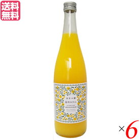 みかんジュース オレンジジュース ストレート 無茶々園 温州みかんジュース 720ml 6個セット 送料無料