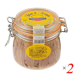 y11/15(y)IyVJ[hŃ|Cgő12{IzA`r tB ʋl XJ[ÃA`r 550giŌ` 350gj2Zbg