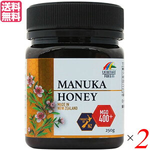 �y12/15(��)����I�y�V�J�[�h�Ń|�C���g�ő�12�{�I�z�}�k�J�n�j�[ MGO400+ �}���`�t���[���� 250g ���j�}�b�g���P�� 2�Z�b�g ��������