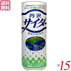 【4/18(木)限定！ポイント最大4倍！】サイダー ソーダ 炭酸 創健社 丹沢サイダー 250ml 15本セット 送料無料