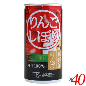 yX[p[SALEI|Cg2{I300~N[|IzSW[X 񂲃W[X Xg[g n 񂲂ڂ 190g 40Zbg 