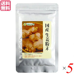 生姜パウダー 生姜 国産 マルシマ 国産生姜粉末 20g 5袋セット 送料無料