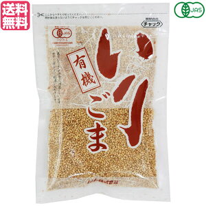 u育 S}  \[ L@育܁E 80g 