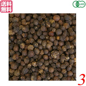 y12/1()I|Cgő8{IzubNybp[ z[ Ӟ Ɩp VOXSPICE I[KjbNubNyp[z[ 500g 3܃Zbg 