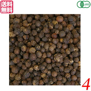 y11/30()IyVJ[hŃ|Cg8{IzubNybp[ z[ Ӟ Ɩp VOXSPICE I[KjbNubNyp[z[ 500g 4܃Zbg 