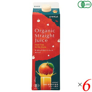 y11/1(y)I|Cgő8{IzW[X Xg[g I[KjbNXg[gW[X IW 1L 6{Zbg 