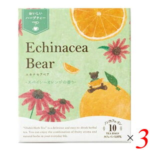 n[ueB[ eB[obO GLiZA ̖ n[ueB[ GLiZAxA 10TBieB[obOj 3Zbg