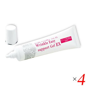 y300|CgRIzEBN C[W[T|[gWFEX 25g 4Zbg ACN[ ێ ڌ 