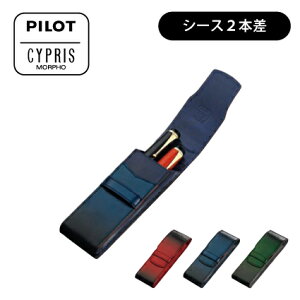 PILOT(pCbg)yyV[X2{zPILOTxCYPRIS(LvX)R{[V v CLS2-01