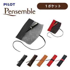 PILOT(pCbg)yV[X1{zPensembleiyTuj [yP[X1|Pbg v PSR1-01