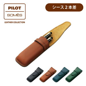 PILOT(pCbg)yyV[X2{zPILOTxSOMES(\XTh)R{[V v SLS2-11