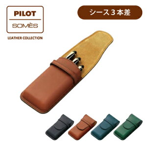 PILOT(pCbg)yyV[X3{zPILOTxSOMES(\XTh)R{[V v SLS3-11