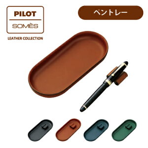 PILOT(pCbg)yyg[zPILOTxSOMES(\XTh)R{[V v SLT-11