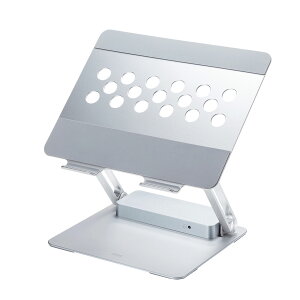 TTvC USB Type-ChbLOXe[ViX^htj USB-CVDK9STN