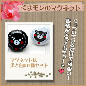 ܃ ObY y}OlbgzF{̂nLu܃v Z-WBGC-30KM-WB(&2Zbg)