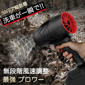 電動 エアダスター コードレス ブロアー 小型 軽量 電気エアダスター ブロワー ブロワー 洗車 ブロワー エアダスター 電気エアダスター ブロワー ターボジェットファン 120m/s 240000rpm 高速回転 21Vバッテリ一 軽量 コードレス ブロワー 強力 耐久性 高温耐性 小型 洗車