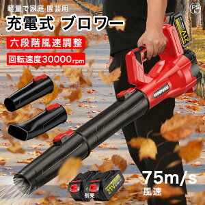 u[ [d R[hX  uA[ 18V obe[Ή 6iKʒ ^ y2.1kg GW75m/s Wo@ ΂ t  ႩΉ  vdl u uA[ 