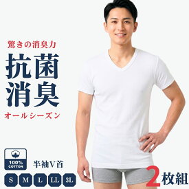 【9月より1,680円に値上げ】2枚組 インナー メンズ 綿100% V首 Tシャツ 半袖 Vネック メンズ綿インナー メンズ綿肌着 メンズ肌着 紳士肌着 インナーシャツ V首 男性 肌着 抗菌消臭 M L LL 3L 白 敬老の日 通勤用 入社 入学 新学期