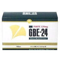 【送料無料】【健康食品】GBE-24　フォルテ　120mg　180粒