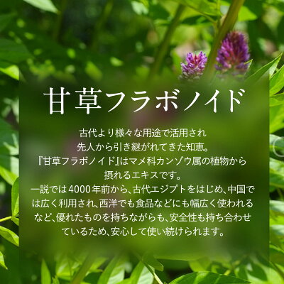Be89歯磨き粉ホワイトニング医薬部外品薬用歯磨き【歯を白くするはみがき粉】口臭むし歯歯周炎予防日本製90g(ペースト)