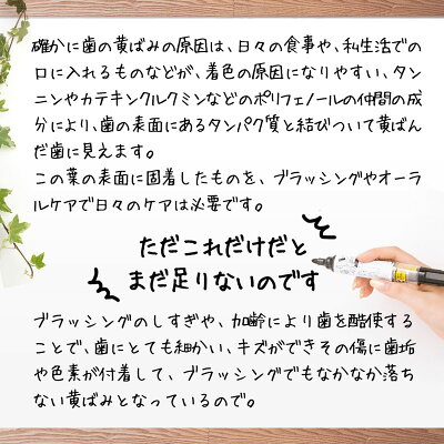 Be89歯磨き粉ホワイトニング医薬部外品薬用歯磨き【歯を白くするはみがき粉】口臭むし歯歯周炎予防日本製90g(ペースト)