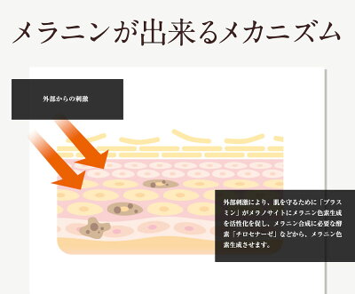 デリケートゾーンの黒ずみ対策ローションBe89【医薬部外品】美白エッセンスローション30ml乳首マタニティー乳頭バスト黒づみくろずみ毛穴ケアボディローションレディースお尻陰部乳輪VIO膝ひざ鼻肘ひじ国産