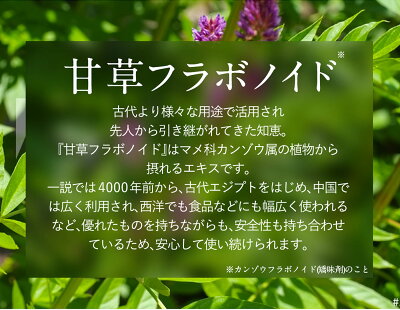 Be89歯磨き粉ホワイトニング医薬部外品薬用歯磨き【歯を白くするはみがき粉】口臭むし歯歯周炎予防日本製90g(ペースト)
